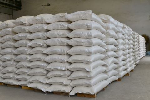 Çam Fıstığı 1 Kg