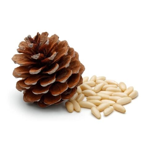 Pinienkerne 1 Kg