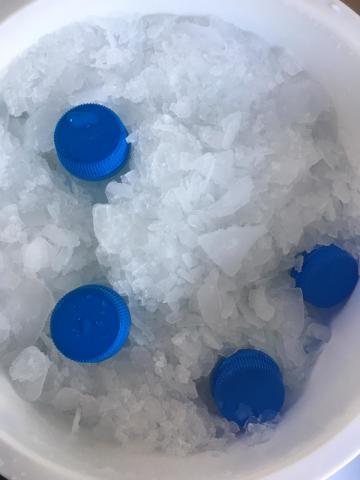 Deve Sütü 1 Litre (1 Haftalık Tüketim)