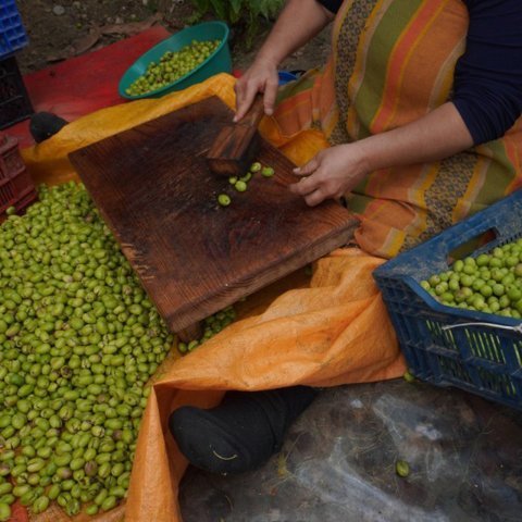 Kırma Yeşil Zeytin