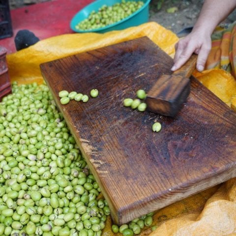 Kırma Yeşil Zeytin