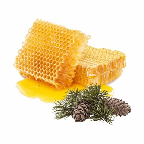 Petek Çam Balı 1 Kg