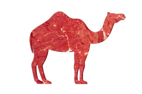 Camel Meat