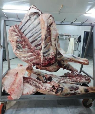Camel Meat