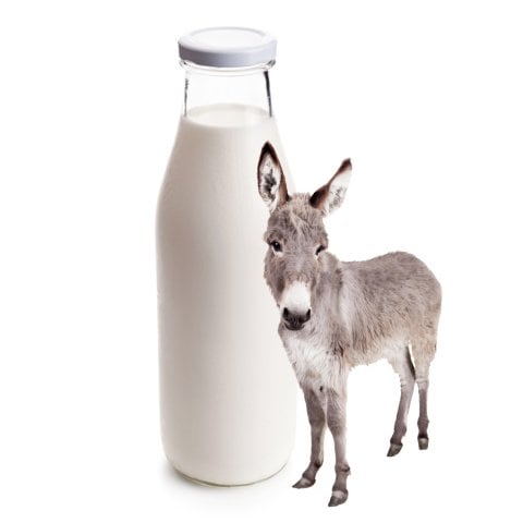 Donkey Milk