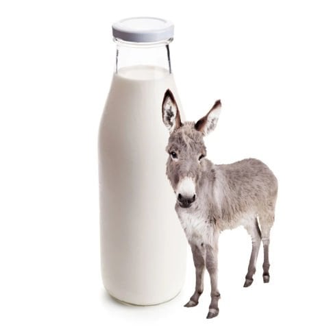 Donkey Milk 1 Liter (1 Week Consumption)