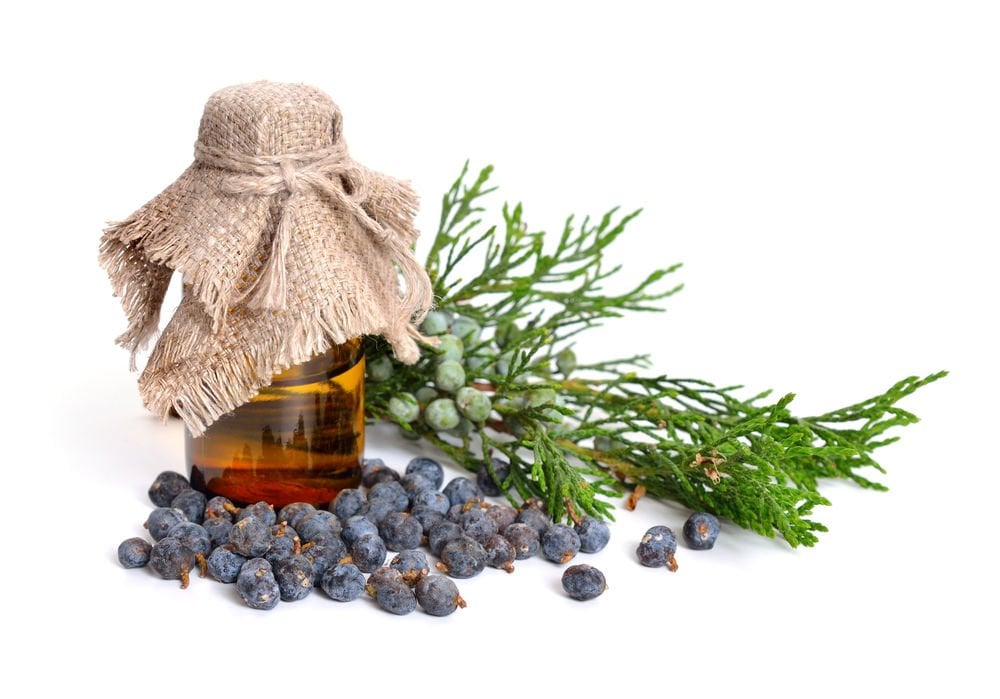 Juniper Oil