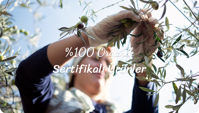 Organik Köy Ürünleri