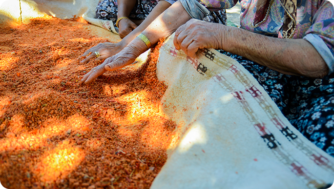 Organik Köy Ürünleri