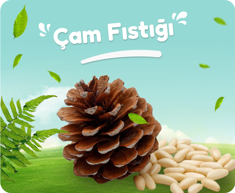 Organik Köy Ürünleri