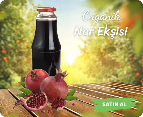 Organik Köy Ürünleri