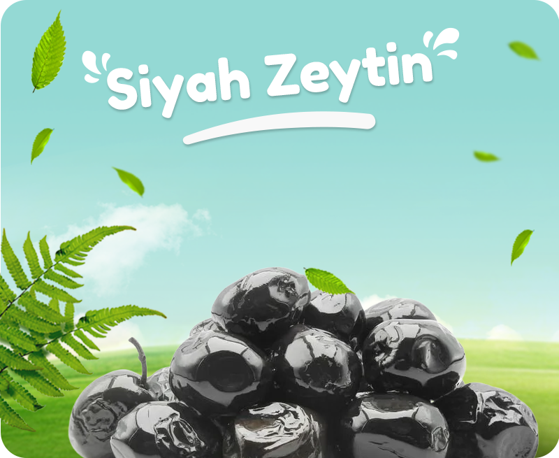 Organik Köy Ürünleri