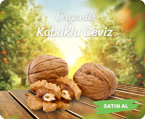 Organik Köy Ürünleri
