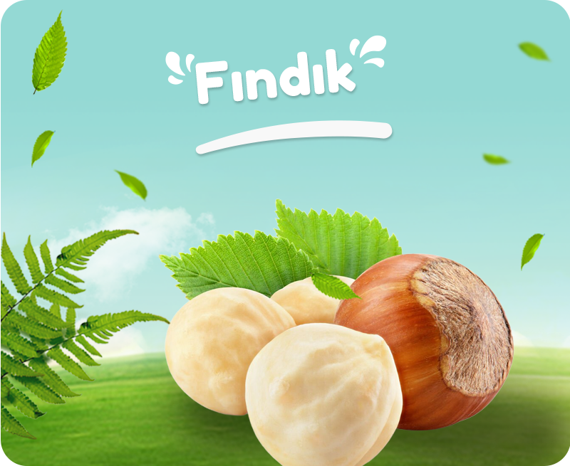 Organik Köy Ürünleri