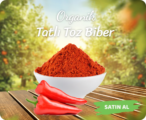 Organik Köy Ürünleri