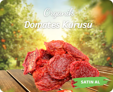 Organik Köy Ürünleri