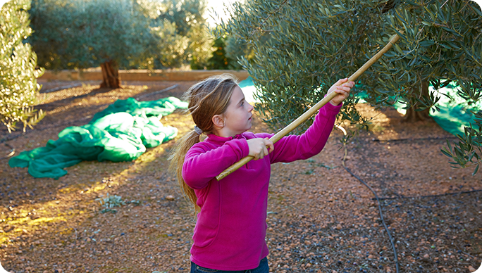 Organik Köy Ürünleri
