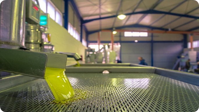 Organik Köy Ürünleri