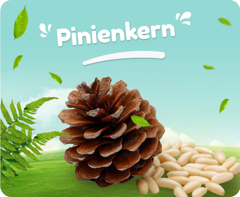 Organik Köy Ürünleri