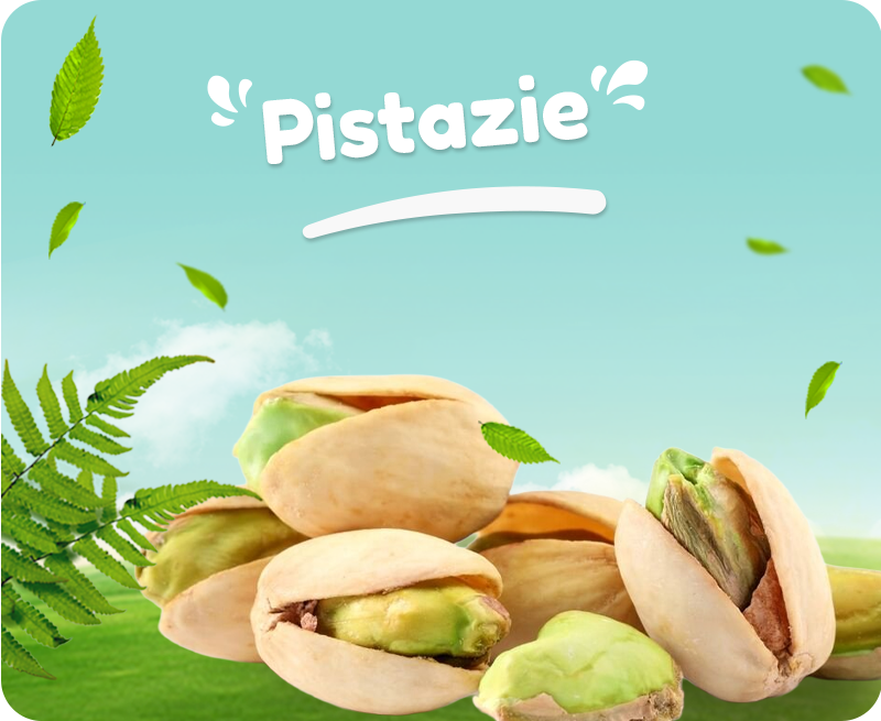 Organik Köy Ürünleri