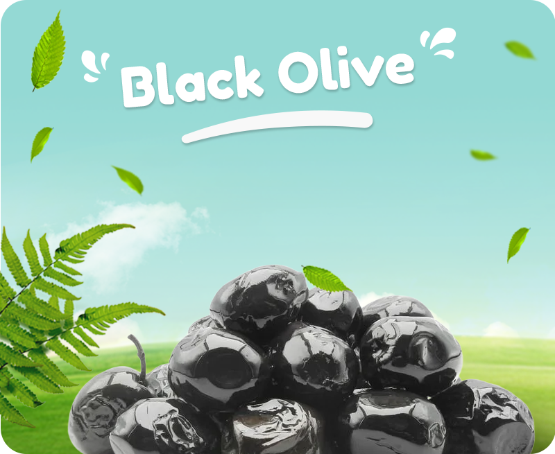 Organik Köy Ürünleri