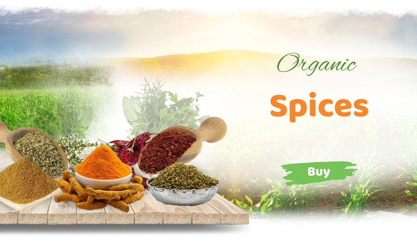 Aydınlı amca Organik Köy Ürünleri