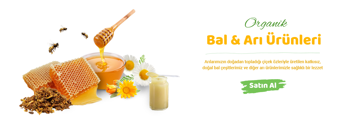 Aydınlı amca Organik Köy Ürünleri