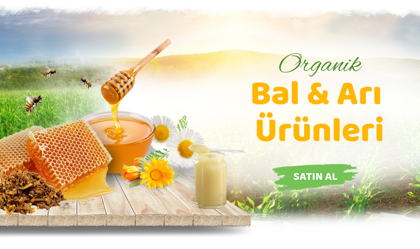 Aydınlı amca Organik Köy Ürünleri
