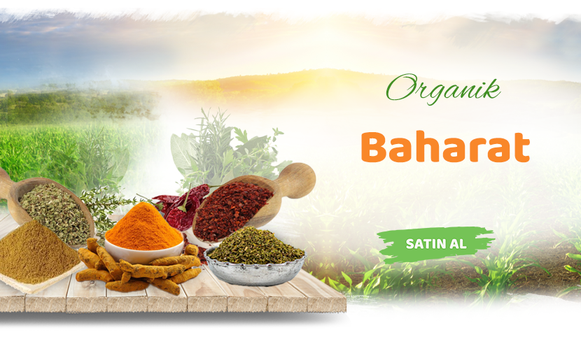 Aydınlı amca Organik Köy Ürünleri