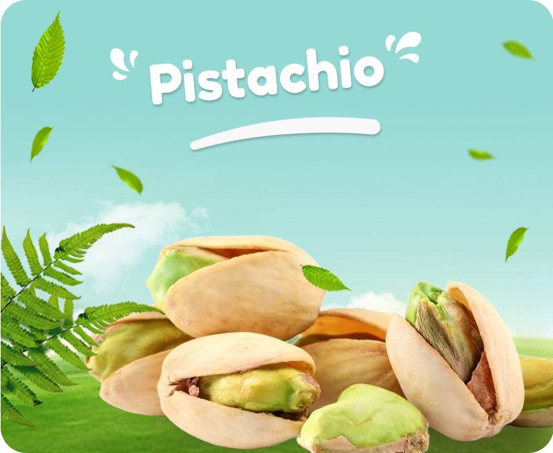 Organik Köy Ürünleri