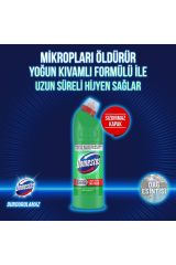 Domestos Çamaşır Suyu Yoğun Kıvamlı Maksimum Hijyen Dağ Esintisi 750 ml 3 Adet