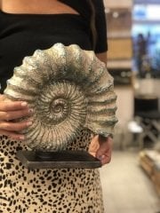 MeGg Ammonite Fosil Dekor