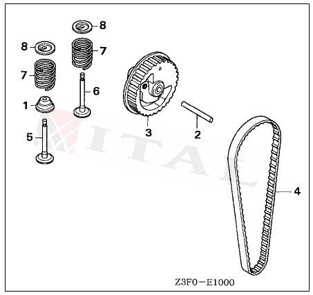 ITL-EKZANTRİK MAKARASI HON. GX35