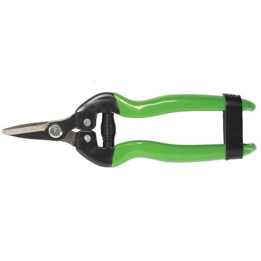 FORMOSA MEYVE TOPLAMA MAKASI KÜT,KISA BIÇAKLI / BUDAMA MAKASI BUDAMA GRUBU /  / 24207