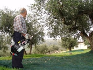 CIFARELLI SC 800 AGAÇ SILKME MAKINASI