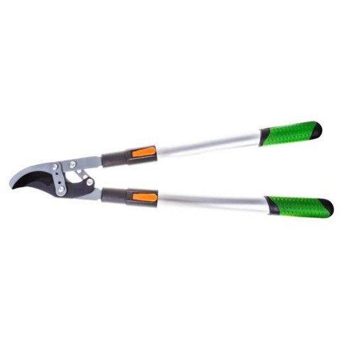 FORMOSA KALIN DAL MAKASI TELESK.MAFSALLI BYPASS / KALIN DAL BUDAMA MAKASI BUDAMA GRUBU /  / 43210