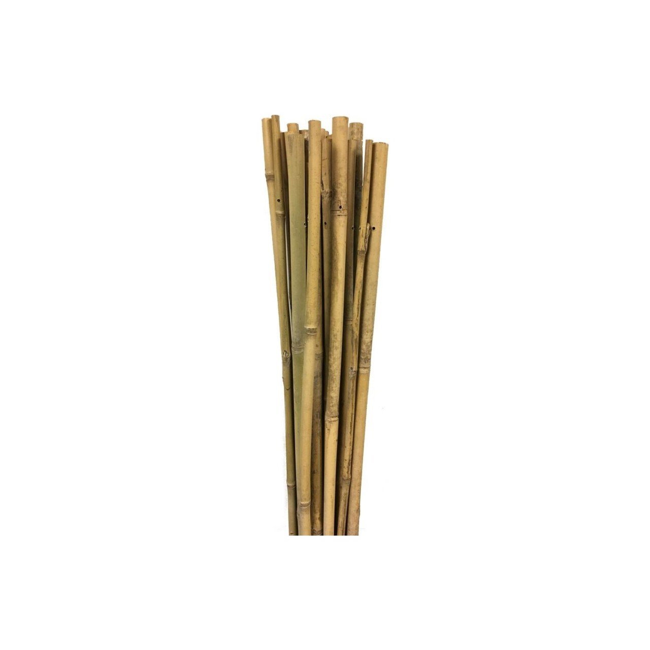 Gardener 63717 Bambu Destek Çubuğu 12-14 mm X 150 cm