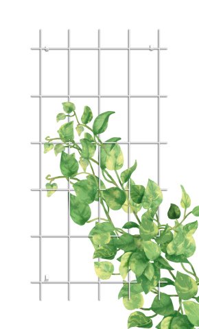 Gardener 73075 Sarmaşık Bitkilere Özel Metal Tırmanma Kafesi  - Beyaz 150cm X 75cm