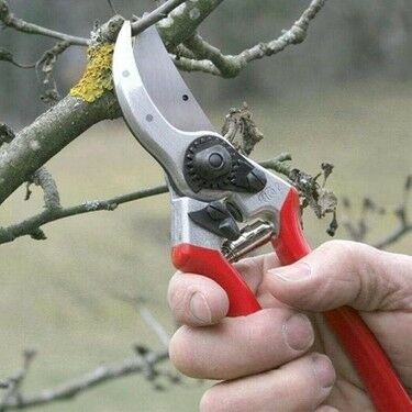 FELCO 2 BUDAMA MAKASI / BUDAMA MAKASI BUDAMA GRUBU /  / FELCO 2