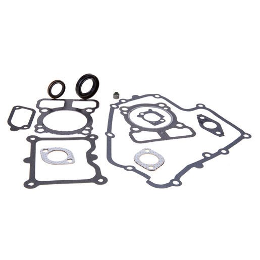 BRIGGS & STRATTON CONTA TAKIMI 750 B&S / BENZİNLİ MOTOR /  / B793623