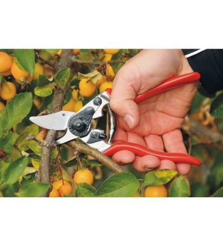 FELCO 6 BUDAMA MAKASI / BUDAMA MAKASI BUDAMA GRUBU /  / FELCO 6