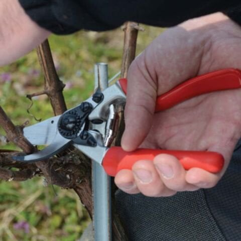 FELCO 7 BUDAMA MAKASI / BUDAMA MAKASI BUDAMA GRUBU /  / FELCO 7