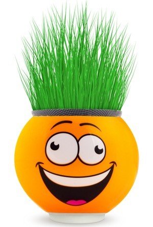 Çimcik 9050 Çim Adam Mini