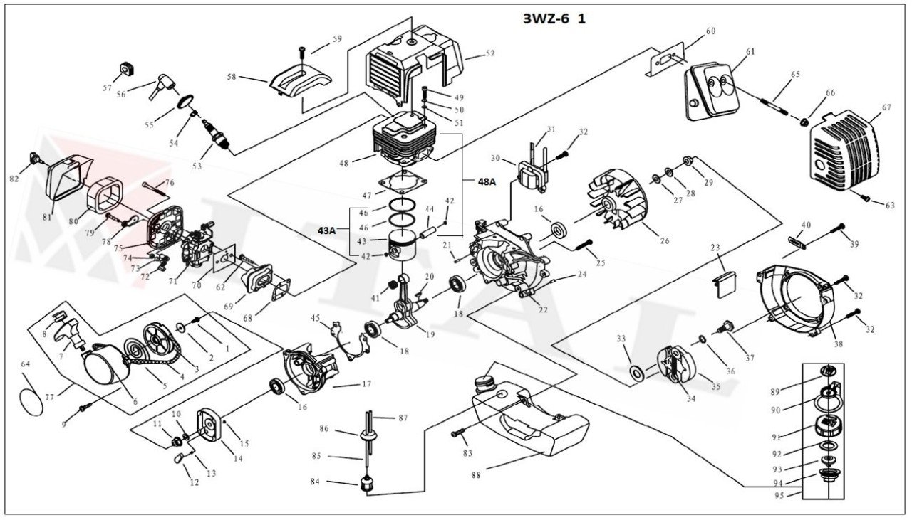 ITL-GAJON PİMİ KASEI 3WZ6