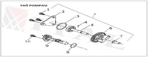 ITL-REGÜLATÖR DİŞLİSİ DİZEL 178/186/188/192
