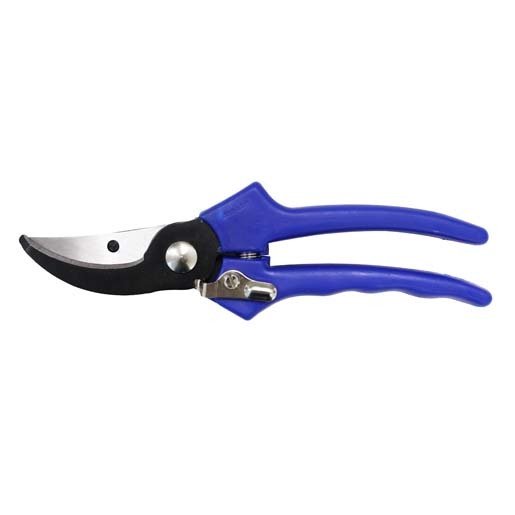 DUE BUOI BUDAMA MAKASI BY-PASS / BUDAMA MAKASI BUDAMA GRUBU /  / 149/22