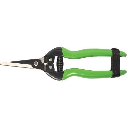 FORMOSA MEYVE TOPLAMA MAKASI EĞİK AĞIZ 19cm / BUDAMA MAKASI BUDAMA GRUBU /  / 24206