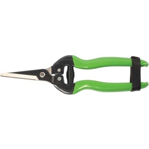 FORMOSA MEYVE TOPLAMA MAKASI EĞİK AĞIZ 19cm / BUDAMA MAKASI BUDAMA GRUBU /  / 24206