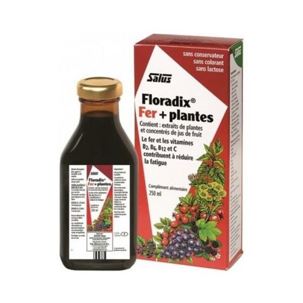 Floradix Sıvı Takviye edici Gıda 250 ml