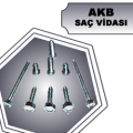 AKB SAC VİDASI DIN7976